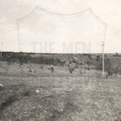 19 19
