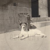 Version 5