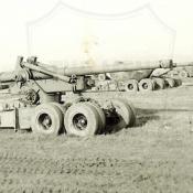 231