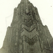 256