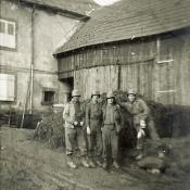 36
