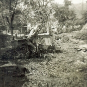 56