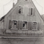 Version 4