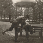 Version 12