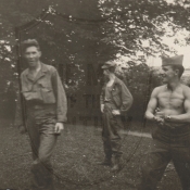 Version 11