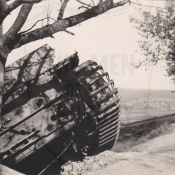 261
