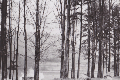 196613-S