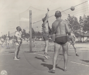War on the Volleyball Court