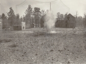 Nazi Village 8