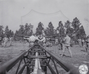 SC-246691