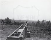 SC-246692